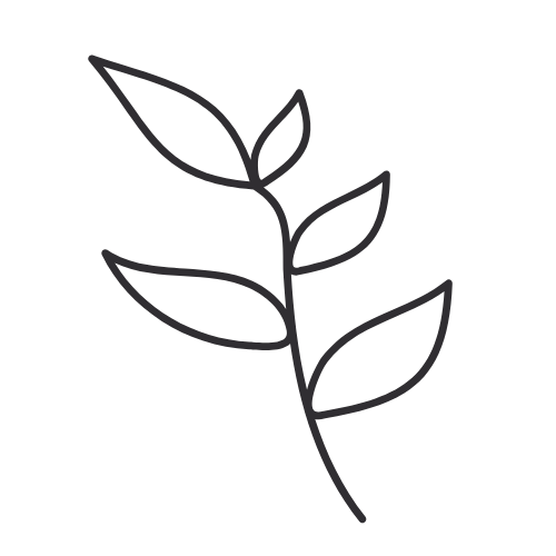 Expansive Therapy Training and Consulting leaf logo